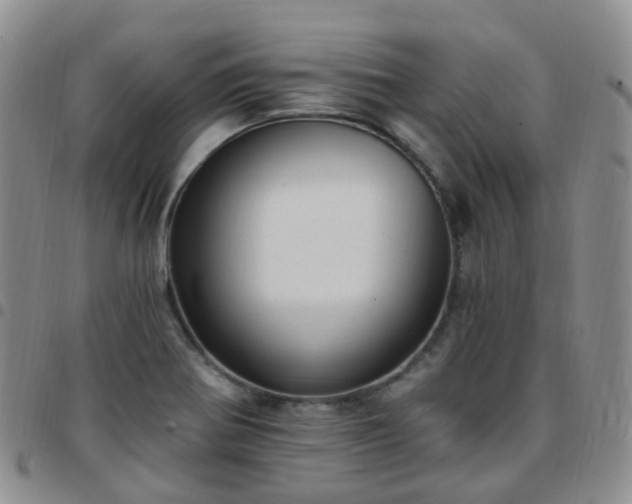 X0000097791370200803141820