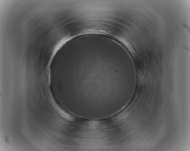 X0000097791371200803141820