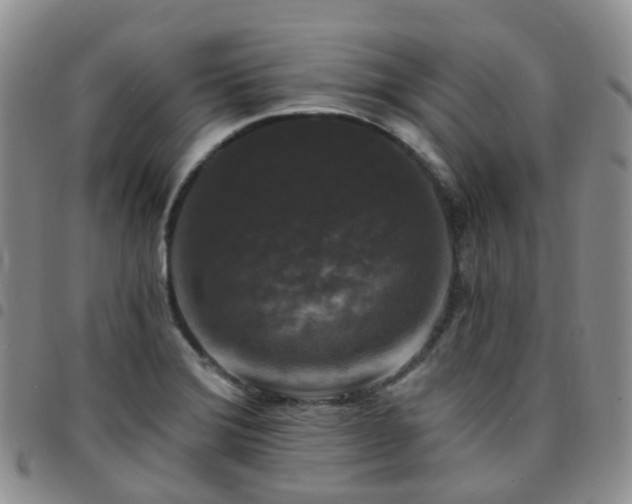 X0000097791372200803141820