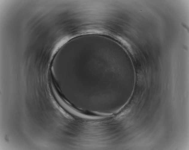 X0000097791373200803141820