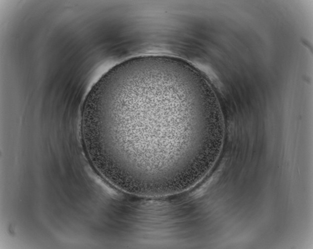 X0000097791374200803141820