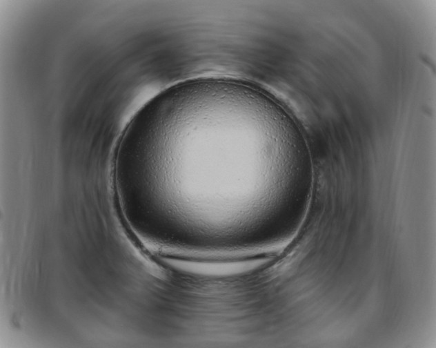 X0000097791375200803141820