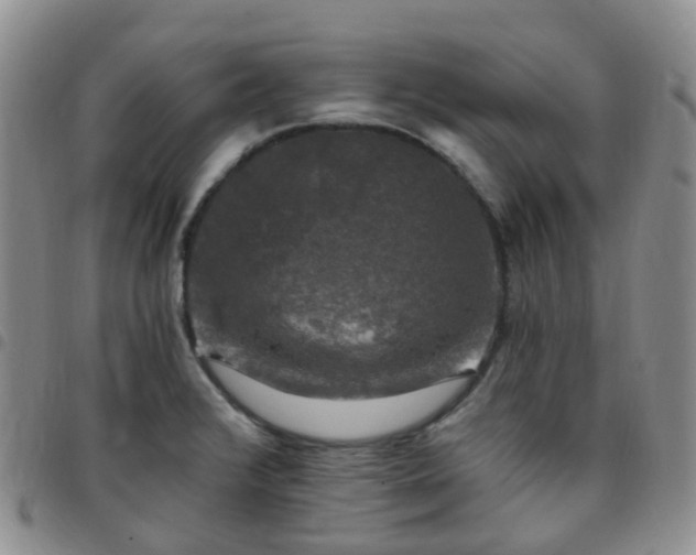 X0000097791376200803141820