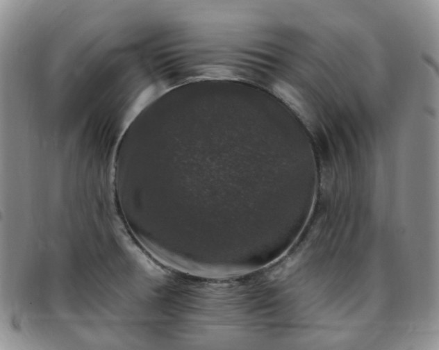 X0000097791378200803141820