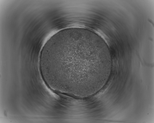 X0000097791379200803141820