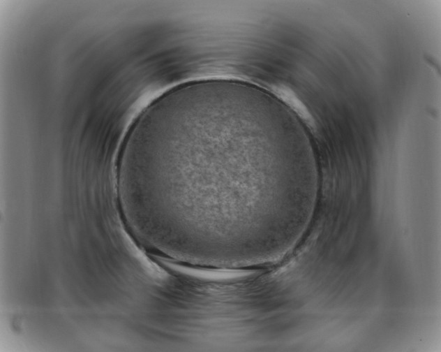 X0000097791380200803141820
