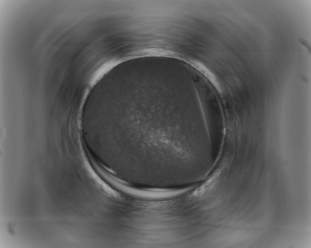 X0000097791381200803141820