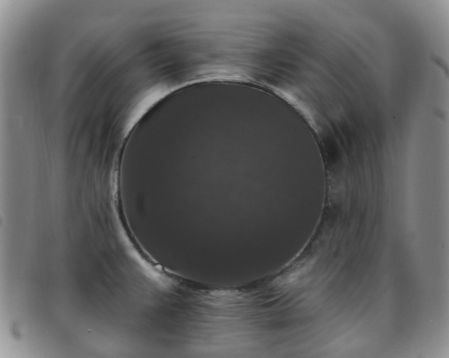 X0000097791383200803141820
