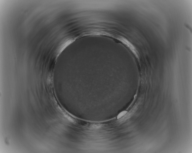 X0000097791385200803141820