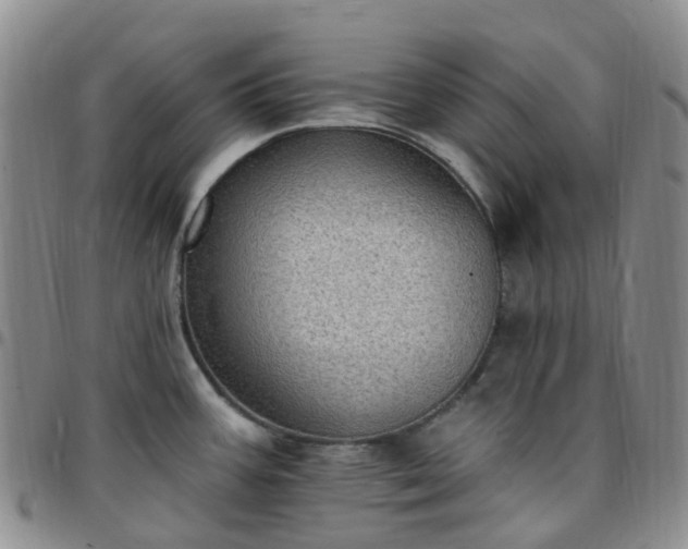 X0000097791387200803141820