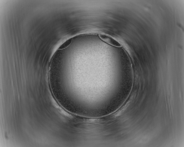 X0000097791390200803141820