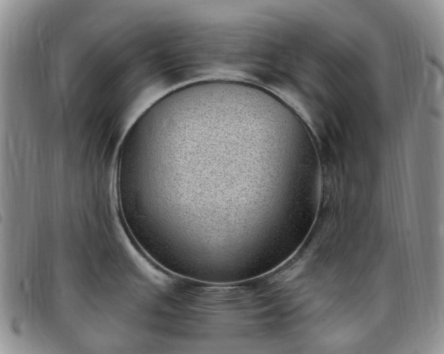 X0000097791391200803141819