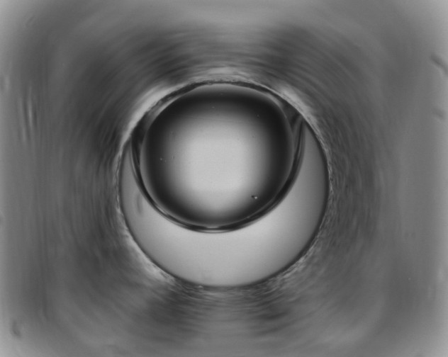 X0000097791392200803141819