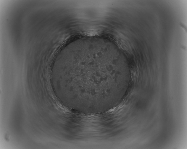 X0000097791393200803141819