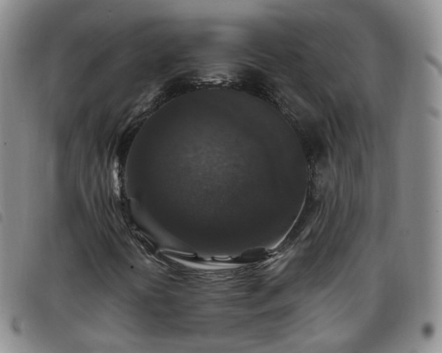 X0000097791394200803141819