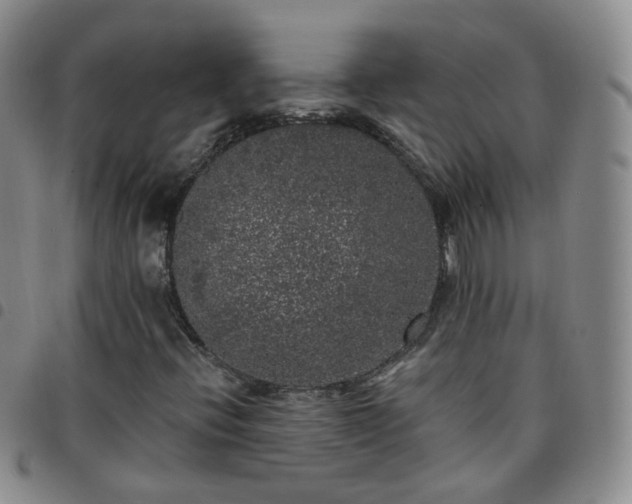 X0000097791396200803141819