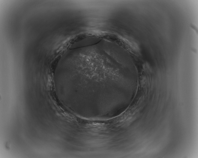 X0000097791397200803141819