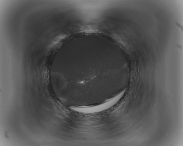 X0000097791398200803141819