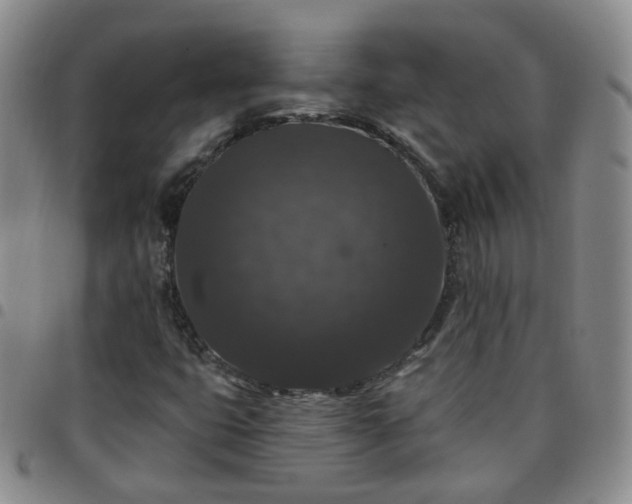 X0000097791399200803141819