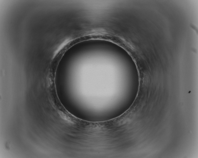 X0000097791400200803141819