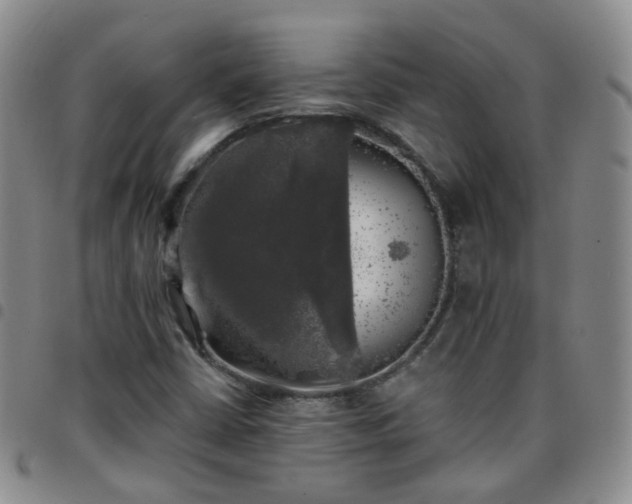 X0000097791402200803141819