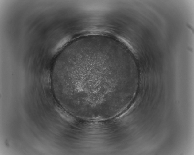 X0000097791403200803141819