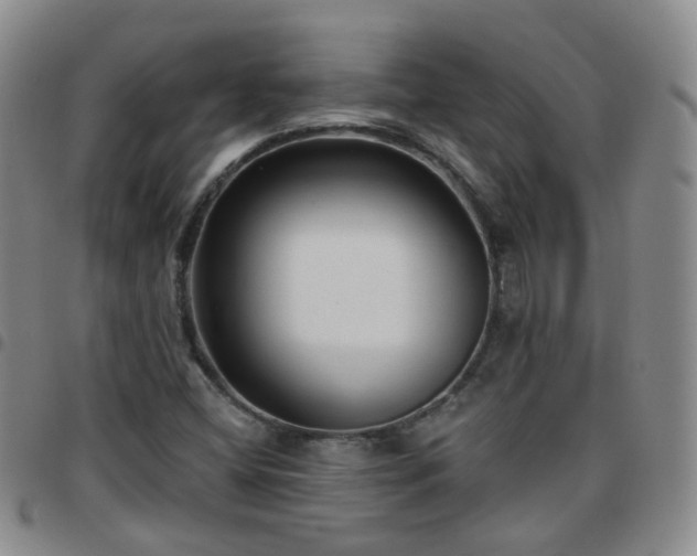 X0000097791404200803141819