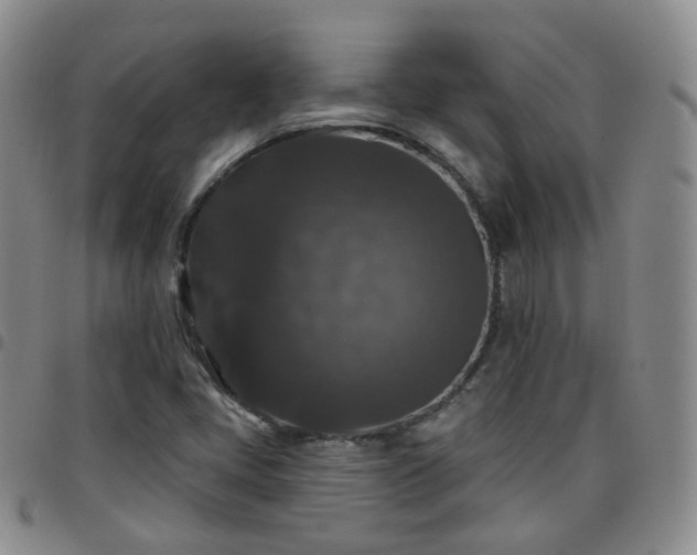 X0000097791405200803141819
