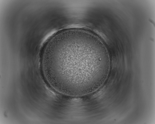 X0000097791406200803141819
