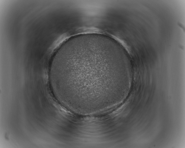 X0000097791407200803141819