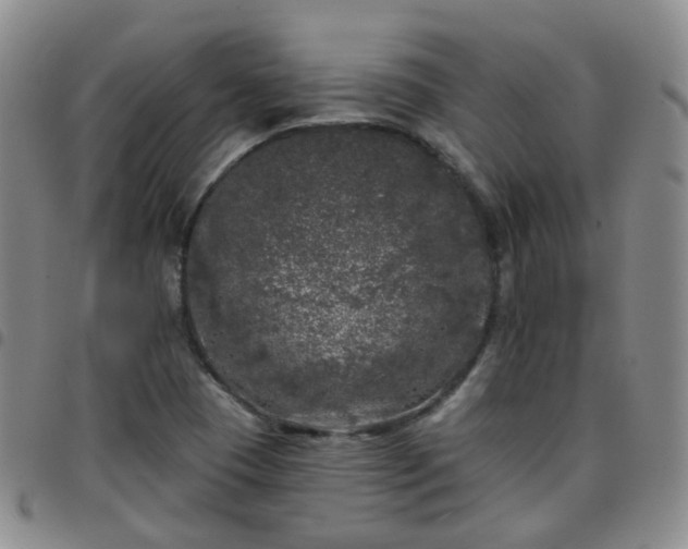 X0000097791409200803141819