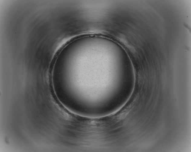 X0000097791412200803141819