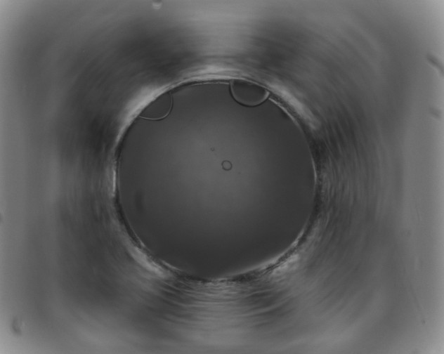 X0000097791413200803141819