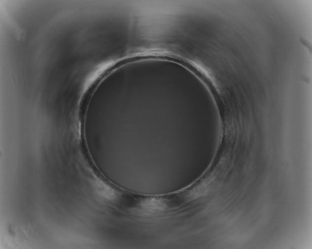 X0000097791414200803141819