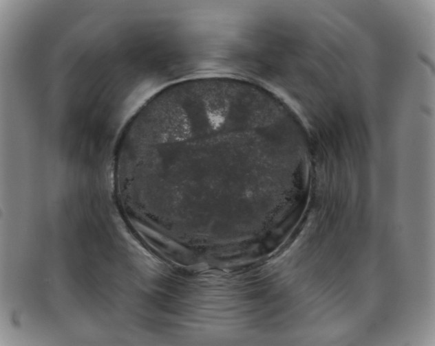 X0000097791415200803141819