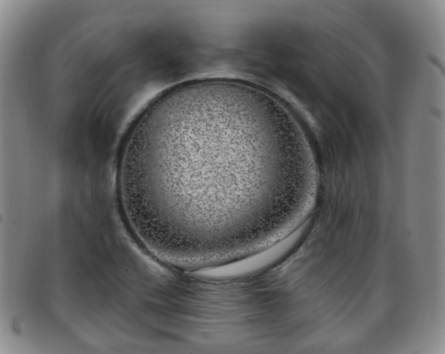 X0000097791416200803141819