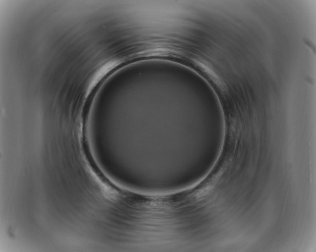 X0000097791418200803141819