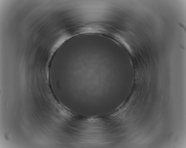 X0000097791419200803141819