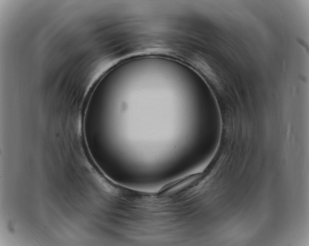 X0000097791420200803141819
