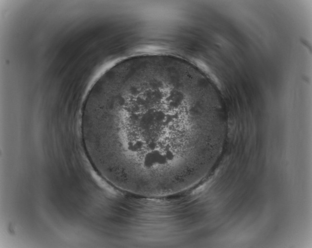 X0000097791421200803141819
