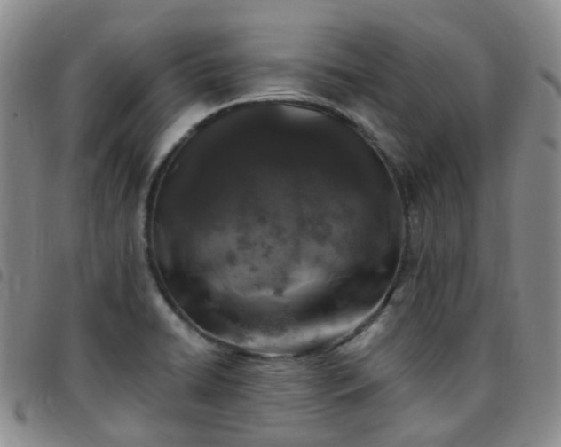 X0000097791422200803141819