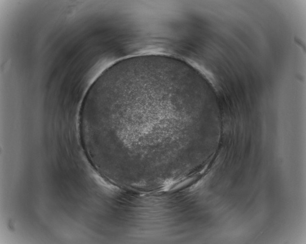 X0000097791423200803141819