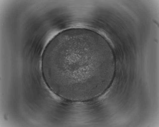 X0000097791424200803141819