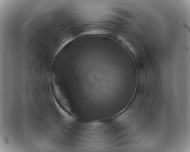 X0000097791425200803141819