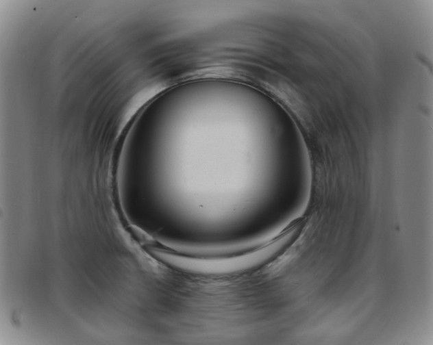 X0000097791426200803141819