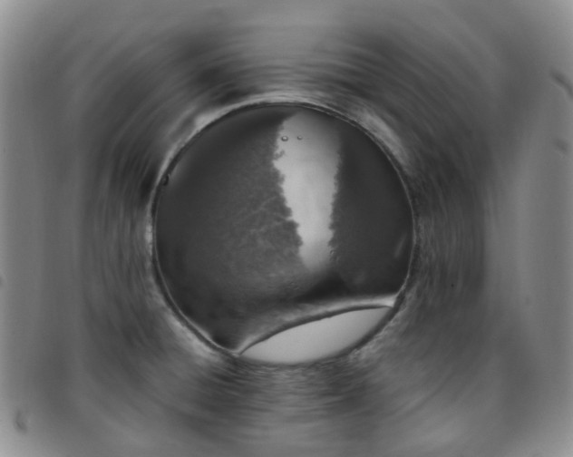 X0000097791428200803141819