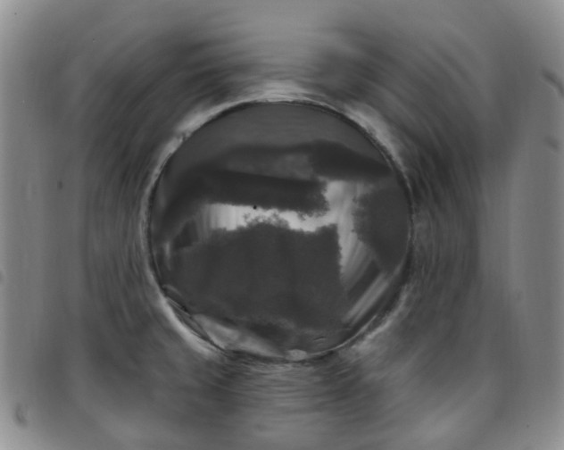X0000097791429200803141819