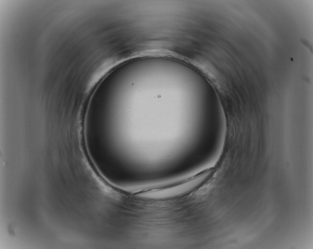 X0000097791430200803141819