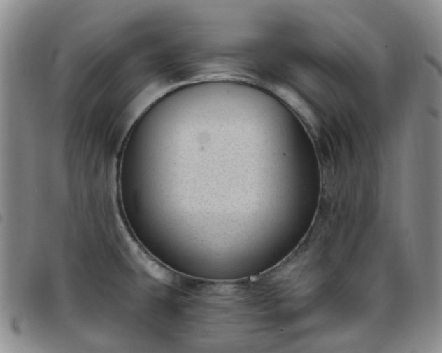 X0000097791431200803141819