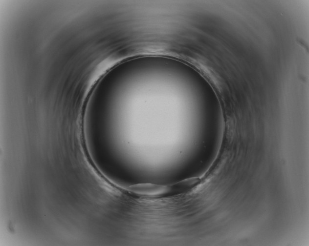 X0000097791432200803141819